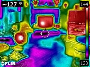 thermal image bed bugs