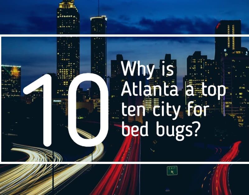 atlanta is the in the top 10 bed bug city