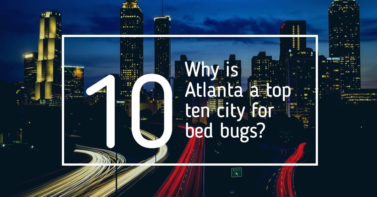 Atlanta’s Bed Bugs in 2020
