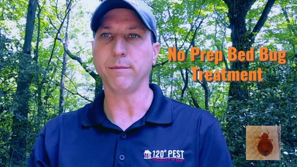How to Prep for a Bed Bug Treatment