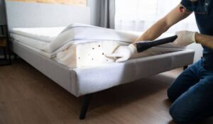 Bed Bug Control Services