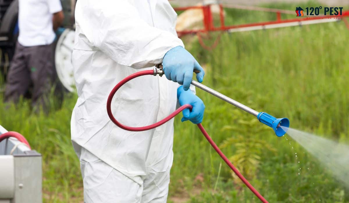 Natural Lawn Pest Control