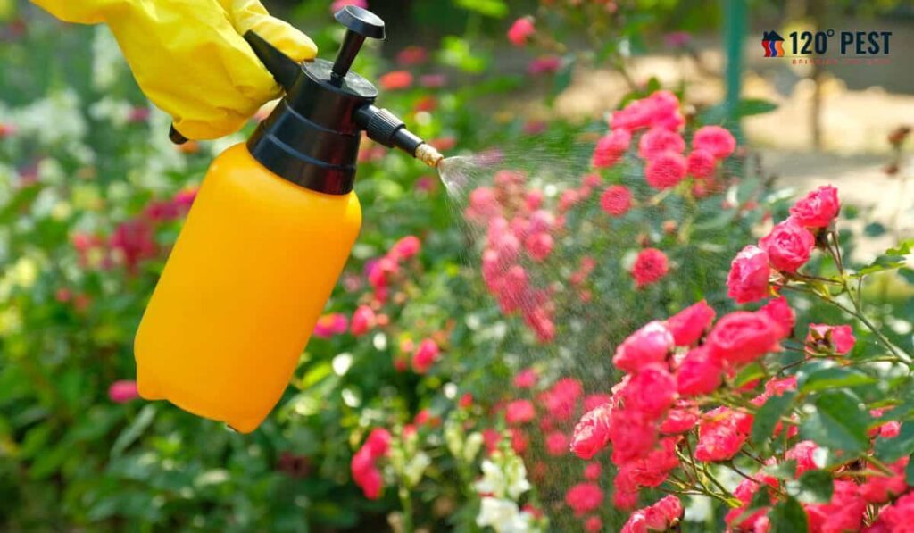 How to Safeguard Your Garden: Natural Pest Control Methods