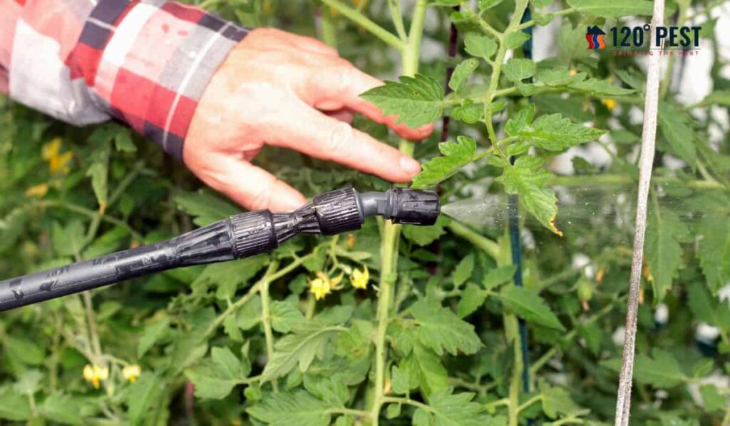 Natural Pest Control for Gardens