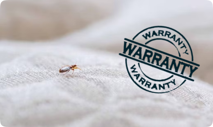 Termite Service warranty