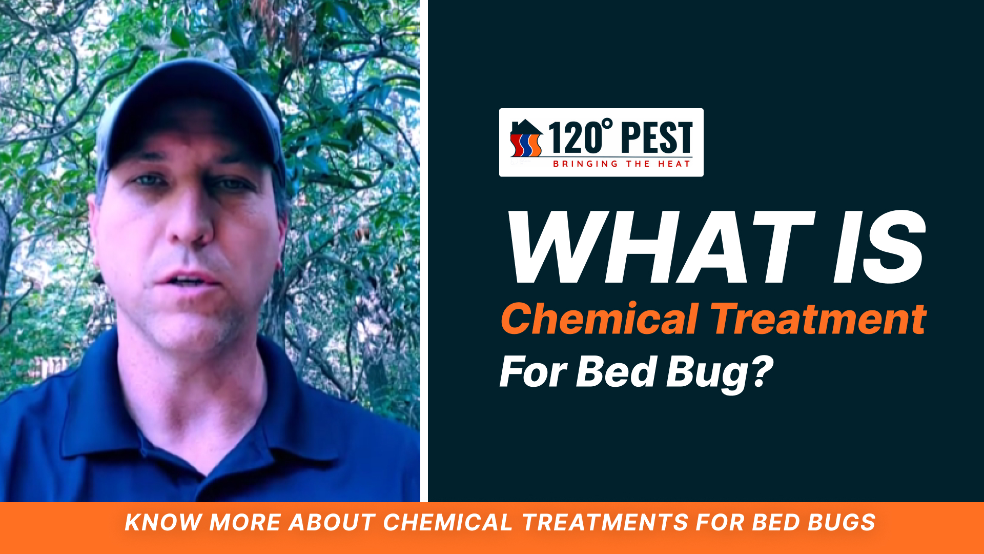 What is chemical treatment for bed bug