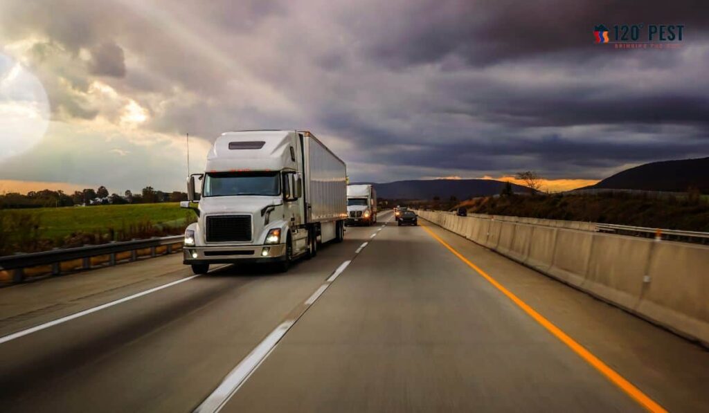 bed bugs in semi truck