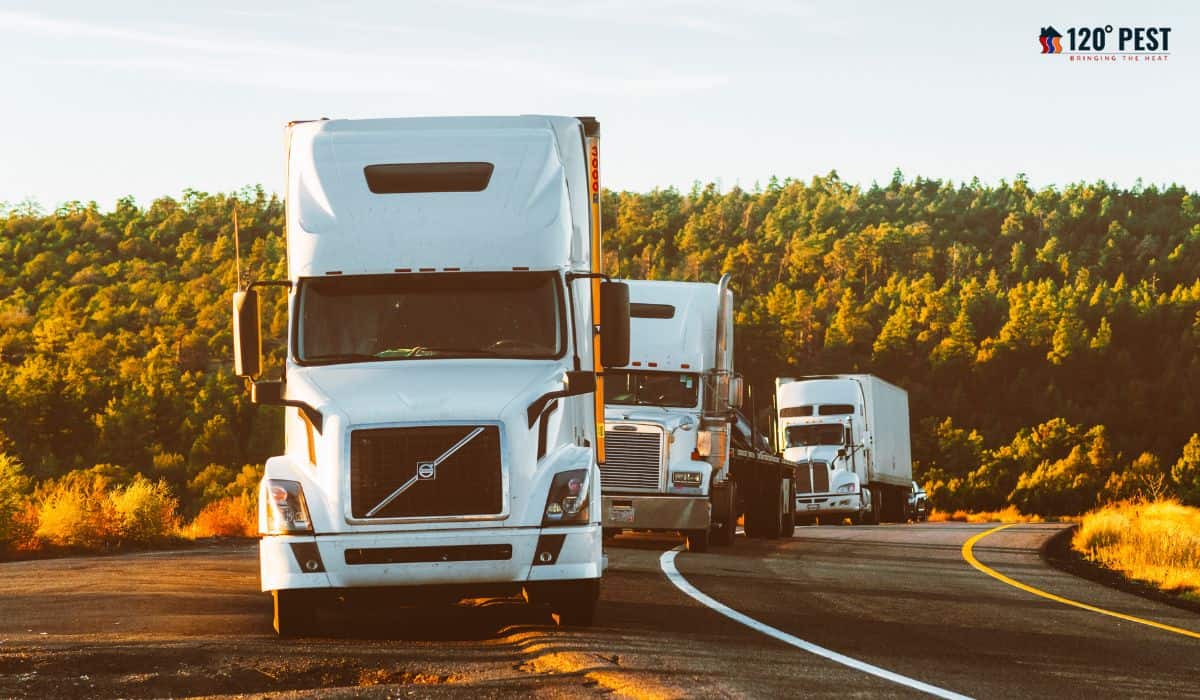Gear Up for Success: Bed Bugging Trucking Pro Tips