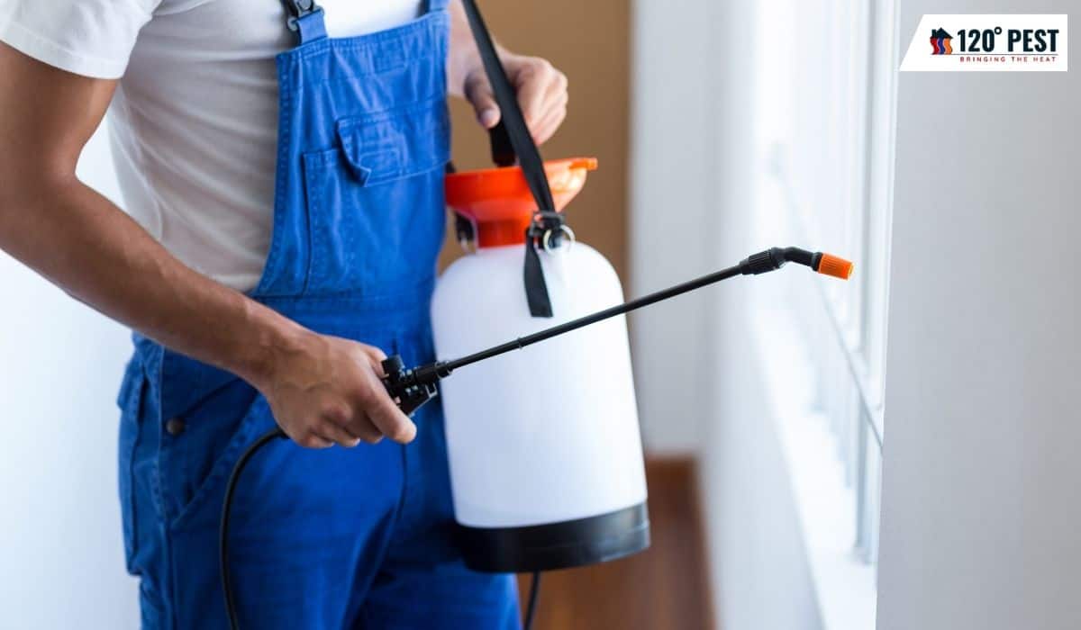 Safe Pest Control Solutions: Finding the Right Products for You