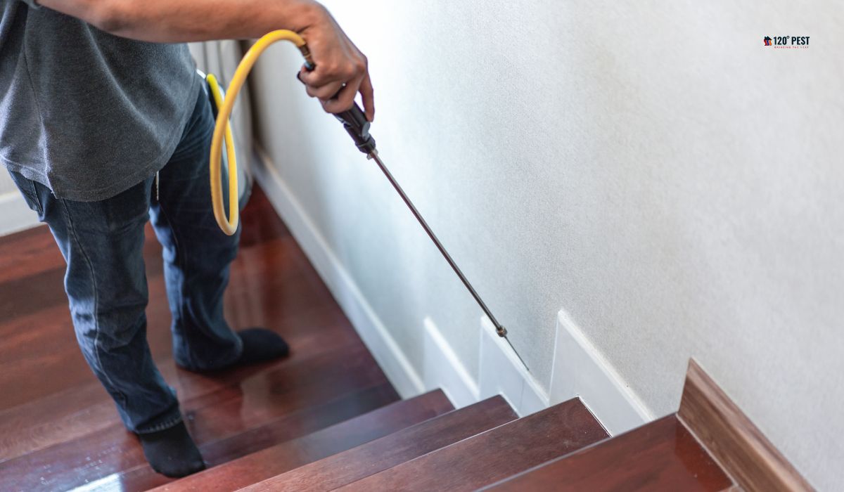 10 Telltale Signs Your House Needs Pest Control