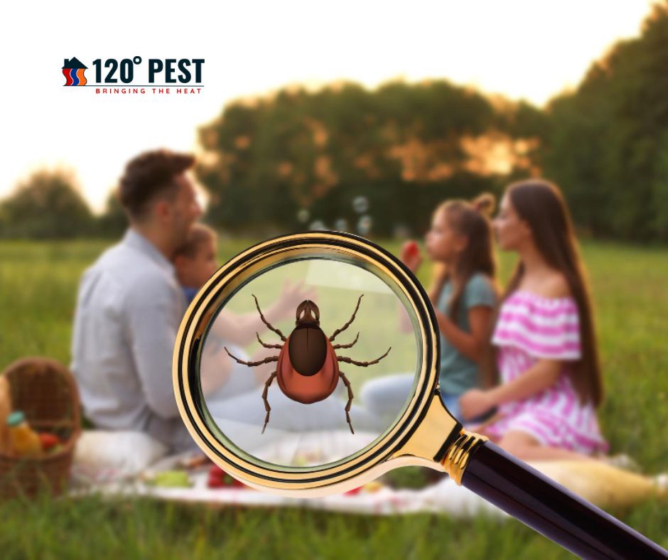 Eco-Friendly Pest Control: Safe Solutions for Family & Pets