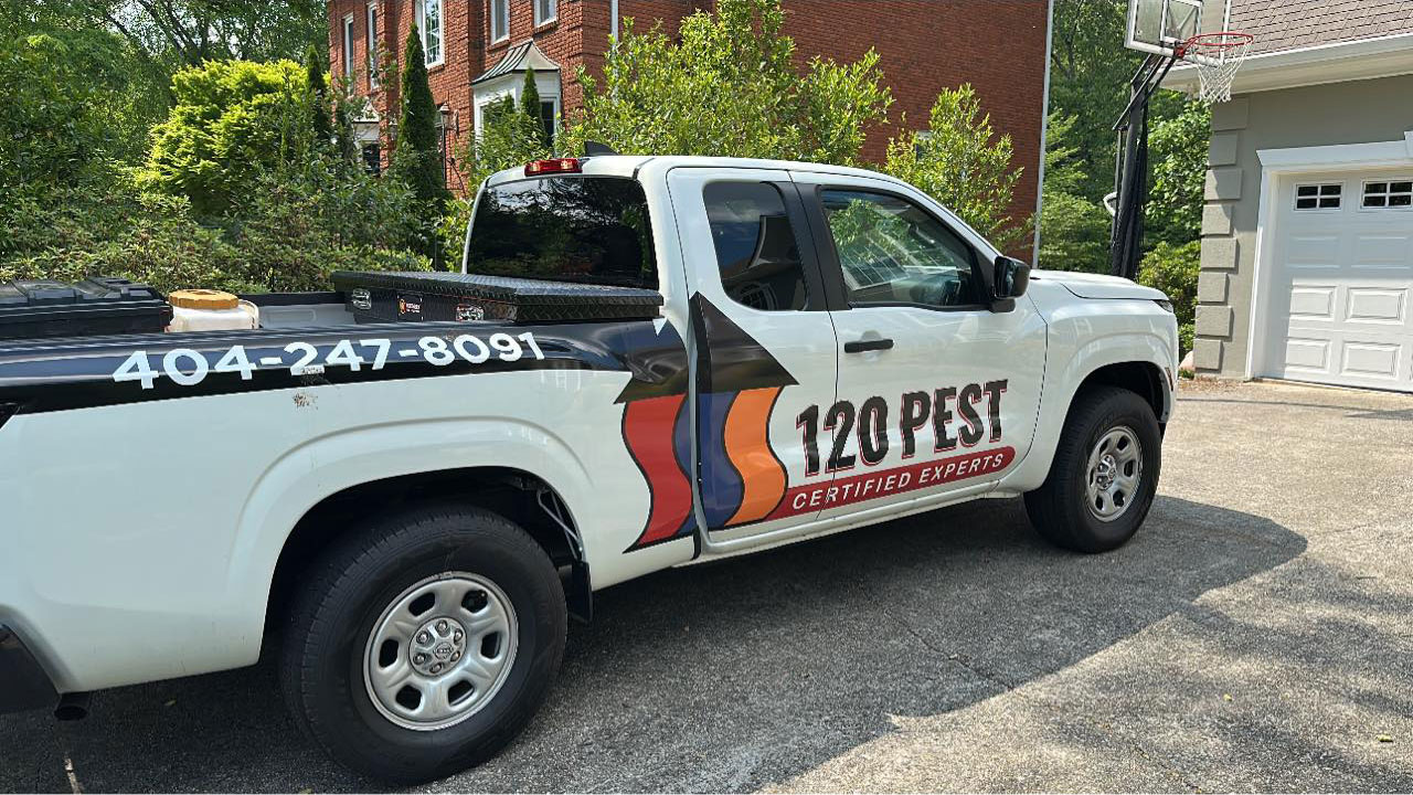 Pest Control Near Me in Cumming, GA