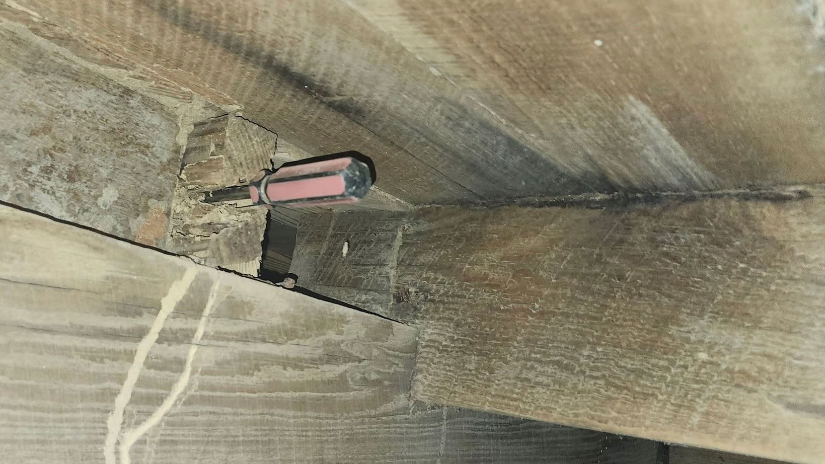 WDO Inspection Alpharetta, GA