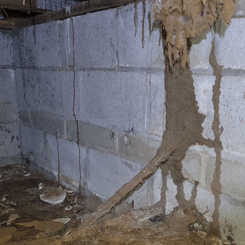 Termite Inspection Milton, GA