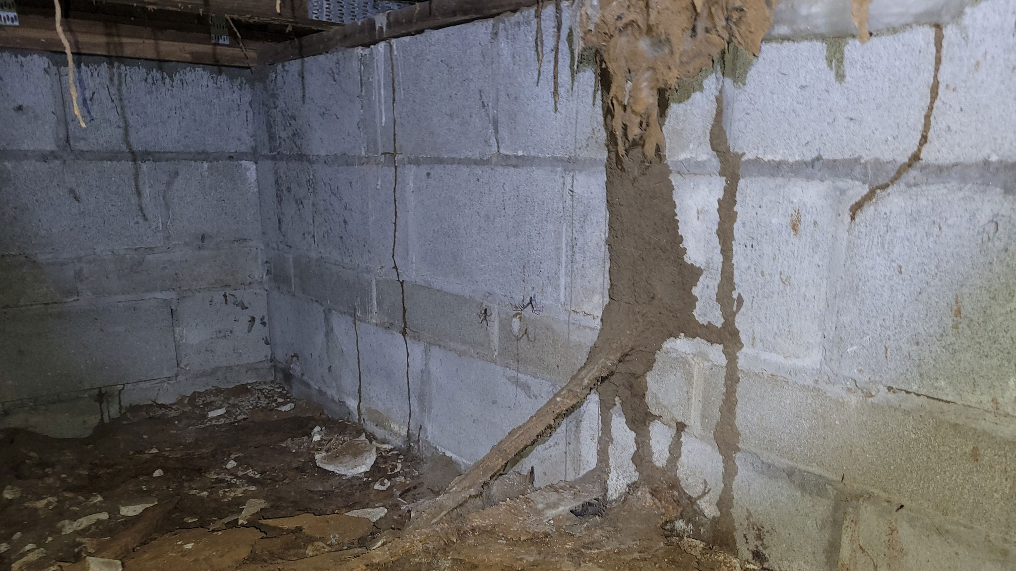 Termite Inspection Milton, GA
